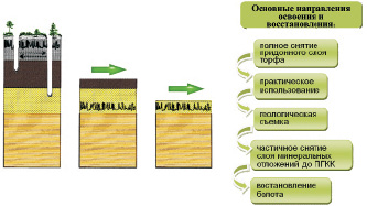 Схема трансмиссивного природного очага