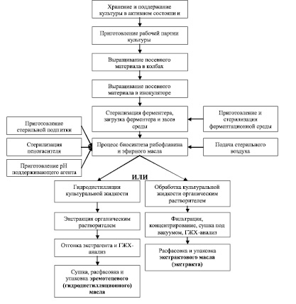 Технологическая схема производства рибофлавина