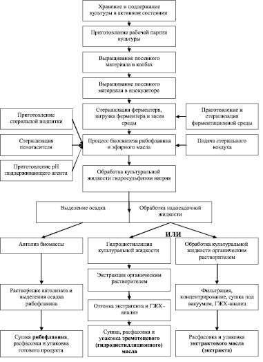 Технологическая схема получения рибофлавина