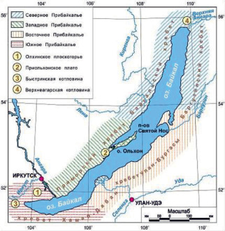 Карта распыления пыльцы