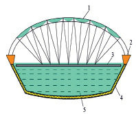 achm3.tif
