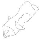 tar2.tif