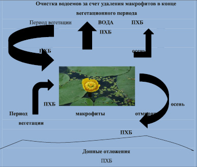 Пути повышения биологической продуктивности в искусственных экосистемах презентация