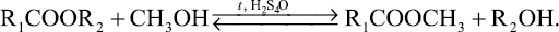 6975.jpg