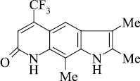 7245.jpg