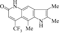 7256.jpg