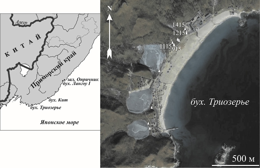 Триозерье приморский край на карте