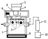 koch1.tif