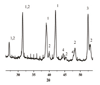 skv2b.tif