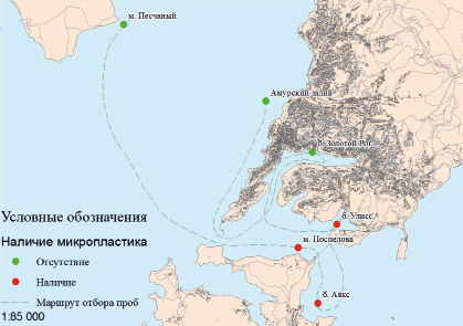 Карта течений залива петра великого