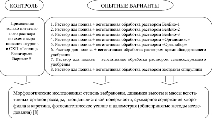 oliv1.wmf