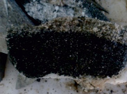 portjg7b.tif
