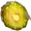 Tr11.tif