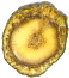 Tr13.tif