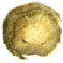 Tr15.tif