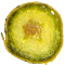 Tr4.tif
