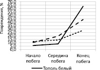 run2b.wmf