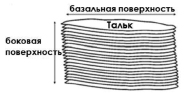 nuhtaev1.tif