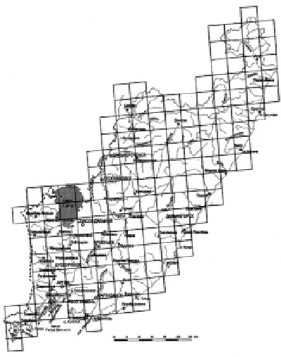 mayor1.tif