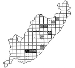 mayor3.tif