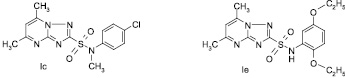 dmitr2.wmf