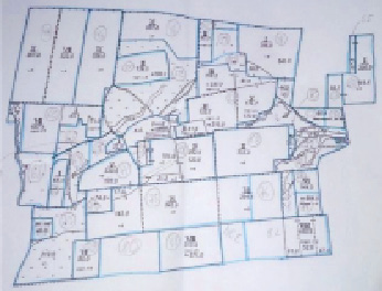 pod5b.tif