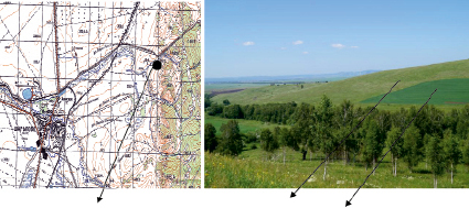 vorobeva1.tif