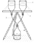 topc2a.tif