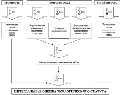 Этапы процесса экологического лицензирования схема