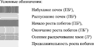 negenceva2.wmf
